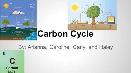 Carbon Cycle By: Arianna, Caroline, Carly, and Haley.