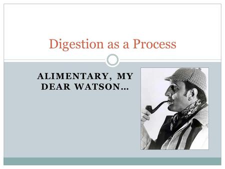 ALIMENTARY, MY DEAR WATSON… Digestion as a Process.