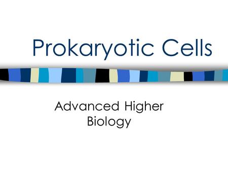 Prokaryotic Cells Advanced Higher Biology. Prokaryotic Cells “ pro ” – before“ karyo “– nucleus Prokaryotes were probably the first forms of life on earth.