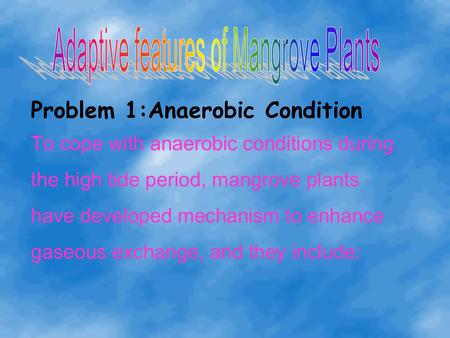 Problem 1:Anaerobic Condition To cope with anaerobic conditions during the high tide period, mangrove plants have developed mechanism to enhance gaseous.