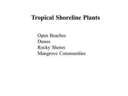 Tropical Shoreline Plants Open Beaches Dunes Rocky Shores Mangrove Communities.