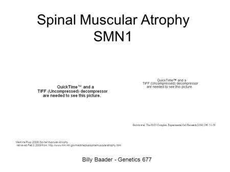 Spinal Muscular Atrophy SMN1 Billy Baader - Genetics 677 Medline Plus (2009) Spinal Muscular Atrophy retrieved Feb 3, 2009 from: