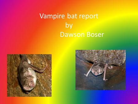 Vampire bat report by Dawson Boser. Habitat: The vampire bats live in northern Mexico. lives in caves, old wells, hollow trees, and building.