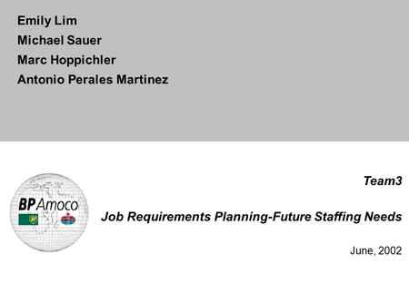Team3 Job Requirements Planning-Future Staffing Needs June, 2002 Emily Lim Michael Sauer Marc Hoppichler Antonio Perales Martinez.