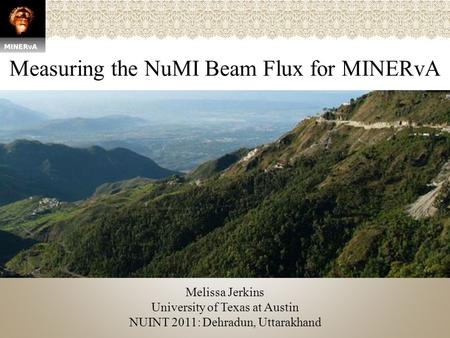 Measuring the NuMI Beam Flux for MINERvA Melissa Jerkins University of Texas at Austin NUINT 2011: Dehradun, Uttarakhand.