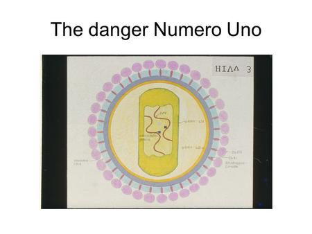 The danger Numero Uno. That’s how it reaches you Unprotected sexual intercourse Intravenous drug abuse and shared needles From a HIV positive mother to.