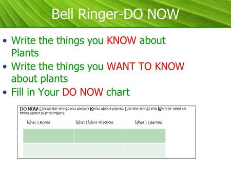 Bell Ringer-DO NOW Write the things you KNOW about Plants