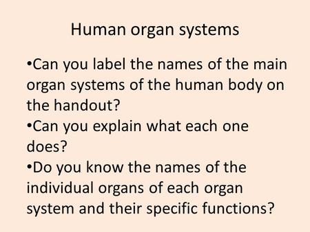 Human organ systems Can you label the names of the main organ systems of the human body on the handout? Can you explain what each one does? Do you know.
