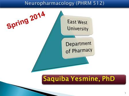 1 Saquiba Yesmine, PhD Spring 2014. Major Neurotransmitters in the Body NeurotransmitterRole in the Body AcetylcholineA neurotransmitter used by the spinal.
