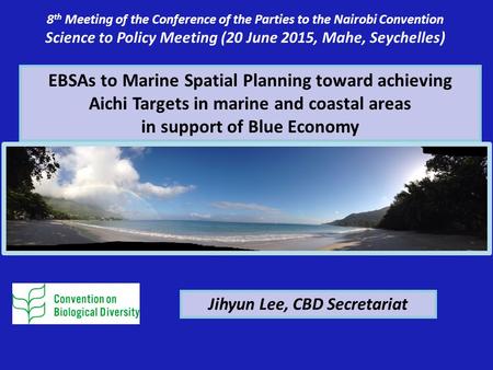 EBSAs to Marine Spatial Planning toward achieving Aichi Targets in marine and coastal areas in support of Blue Economy 8 th Meeting of the Conference of.