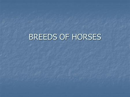 BREEDS OF HORSES.