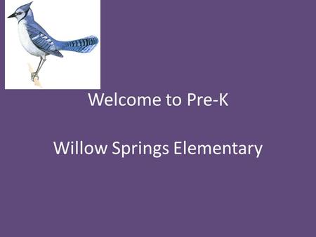 Welcome to Pre-K Willow Springs Elementary. A Little about Me! This is my 7 th year at Willow Springs and my 7 th year teaching Pre-k.