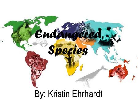 Endangered Species By: Kristin Ehrhardt. What is an Endangered Species? To be endangered means that an animal is in danger of becoming extinct sometime.