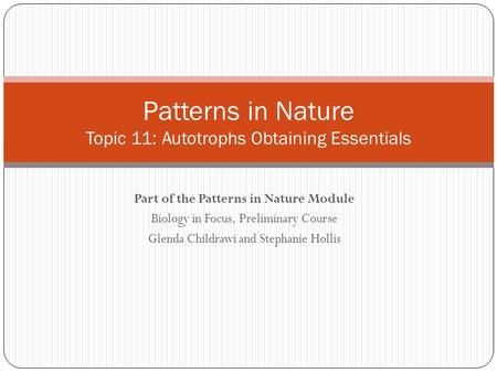 Part of the Patterns in Nature Module Biology in Focus, Preliminary Course Glenda Childrawi and Stephanie Hollis Patterns in Nature Topic 11: Autotrophs.