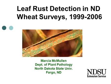 Marcia McMullen Dept. of Plant Pathology North Dakota State Univ. Fargo, ND Leaf Rust Detection in ND Wheat Surveys, 1999-2006.