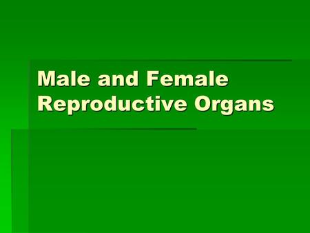 Male and Female Reproductive Organs