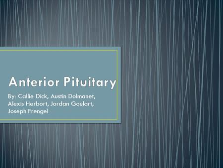 Anterior Pituitary By: Callie Dick, Austin Dolmanet, Alexis Herbort, Jordan Goulart, Joseph Frengel.