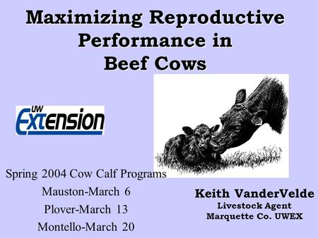Maximizing Reproductive Performance in Beef Cows Keith VanderVelde Livestock Agent Marquette Co. UWEX Spring 2004 Cow Calf Programs Mauston-March 6 Plover-March.
