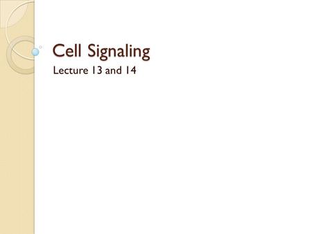 Cell Signaling Lecture 13 and 14. Ligand-activated Notch undergoes 2 cleavages before releasing the transcription factor ADAM10: A disintegrin and Metalloprote.