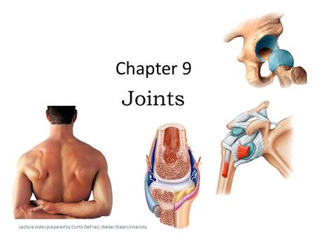 Chapter 9 Joints Lecture slides prepared by Curtis DeFriez, Weber State University.