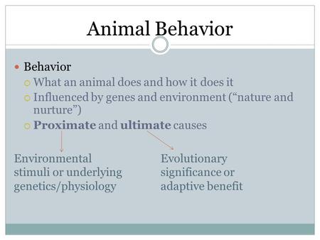 Animal Behavior Behavior  What an animal does and how it does it  Influenced by genes and environment (“nature and nurture”)  Proximate and ultimate.