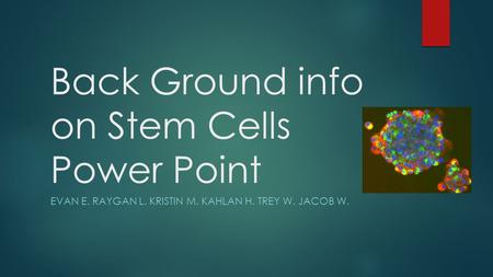 Back Ground info on Stem Cells Power Point EVAN E. RAYGAN L. KRISTIN M. KAHLAN H. TREY W. JACOB W.