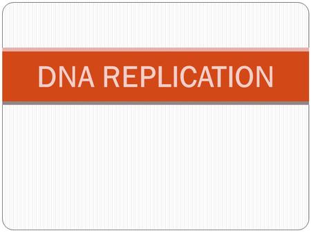DNA REPLICATION.
