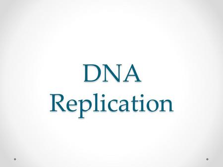 DNA Replication. DNA Function Recall: DNA is the carrier of hereditary information for all living organisms. DNA controls the activity of all cells by.