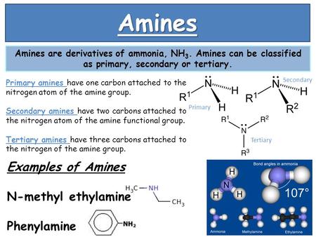 Amines Amines are derivatives of ammonia, NH 3. Amines can be classified as primary, secondary or tertiary. Primary amines have one carbon attached to.