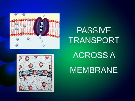 PASSIVE TRANSPORT ACROSS A MEMBRANE. Overview of Passive & Active Transport Cell Transport Passive Transport DiffusionOsmosis Facilitated Diffusion Active.