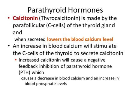 Parathyroid Hormones Calcitonin (Thyrocalcitonin) is made by the parafollicular (C-cells) of the thyroid gland and when secreted lowers the blood calcium.