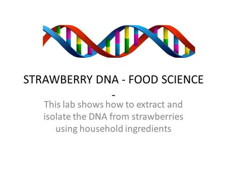 STRAWBERRY DNA - FOOD SCIENCE - This lab shows how to extract and isolate the DNA from strawberries using household ingredients.