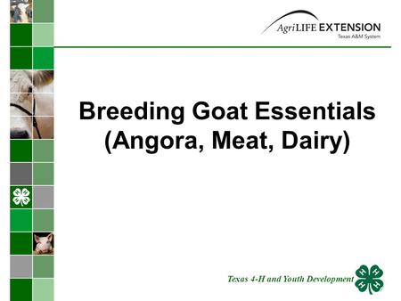 Breeding Goat Essentials (Angora, Meat, Dairy) Texas 4-H and Youth Development.