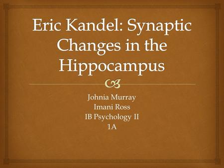 Eric Kandel: Synaptic Changes in the Hippocampus