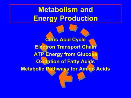 Metabolism and Energy Production