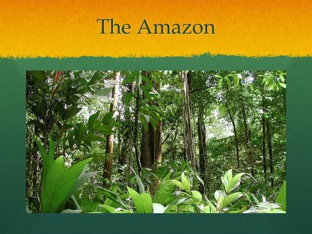 The Amazon. The amazon forest is located in the upper section of Brazil south of the Equator. It is also found in different other countries including,