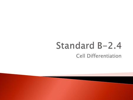 Standard B-2.4 Cell Differentiation.