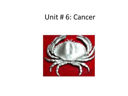Unit # 6: Cancer. Overview 2 nd leading cause of death in Canada 29% of all mortality (2004) Higher risk in people over 65, males Leading cause of Potential.