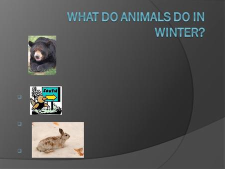      . Hibernate  Hibernation is a state that some animals enter in the winter in order to survive a period when food is not easily available.