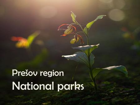 Prešov region National parks. National park Pieniny -Abbrev PIENAP -Noticed as national park in 1967 -Situated in the north of Prešov region -The smallest.