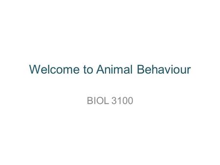 Welcome to Animal Behaviour BIOL 3100. Contact info Dr. Matt Reudink Office: S350 * to set up appointment or just drop