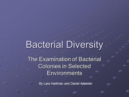 The Examination of Bacterial Colonies in Selected Environments