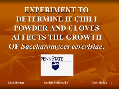 1 EXPERIMENT TO DETERMINE IF CHILI POWDER AND CLOVES AFFECTS THE GROWTH OF Saccharomyces cerevisiae. Mike Bohner Pandelee MikroudisJason Hinkle.