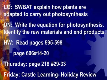 LO: SWBAT explain how plants are adapted to carry out photosynthesis DN: Write the equation for photosynthesis. Identify the raw materials and end products.