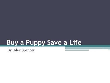 Buy a Puppy Save a Life By: Alex Spencer. What is This Presentation About This presentation is about why people should buy dogs and what happens to most.
