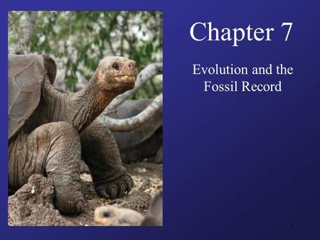 1 Chapter 7 Evolution and the Fossil Record. 2 Guiding Questions What lines of evidence convinced Charles Darwin that organic evolution produced the species.