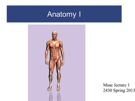 Anatomy I Muse lecture 1 2430 Spring 2013.