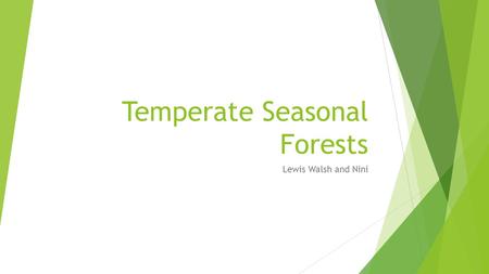 Temperate Seasonal Forests Lewis Walsh and Nini. Physical factors  Temperate Forests are all over the world in Eastern U.S., Canada, Europe, China, and.