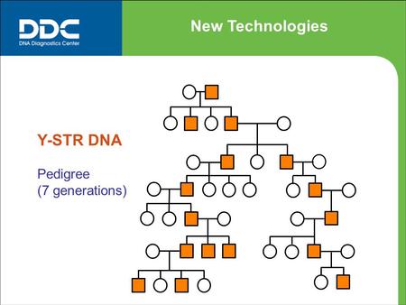 New Technologies Y-STR DNA Pedigree (7 generations)