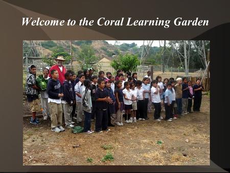 Welcome to the Coral Learning Garden. Nature is astounding. Plants, with only the water and food that shows up; with no tending, fertilizer, or pesticides.